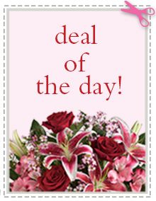 Deal Of The Day - We'll do all of the work. You'll take all of the credit